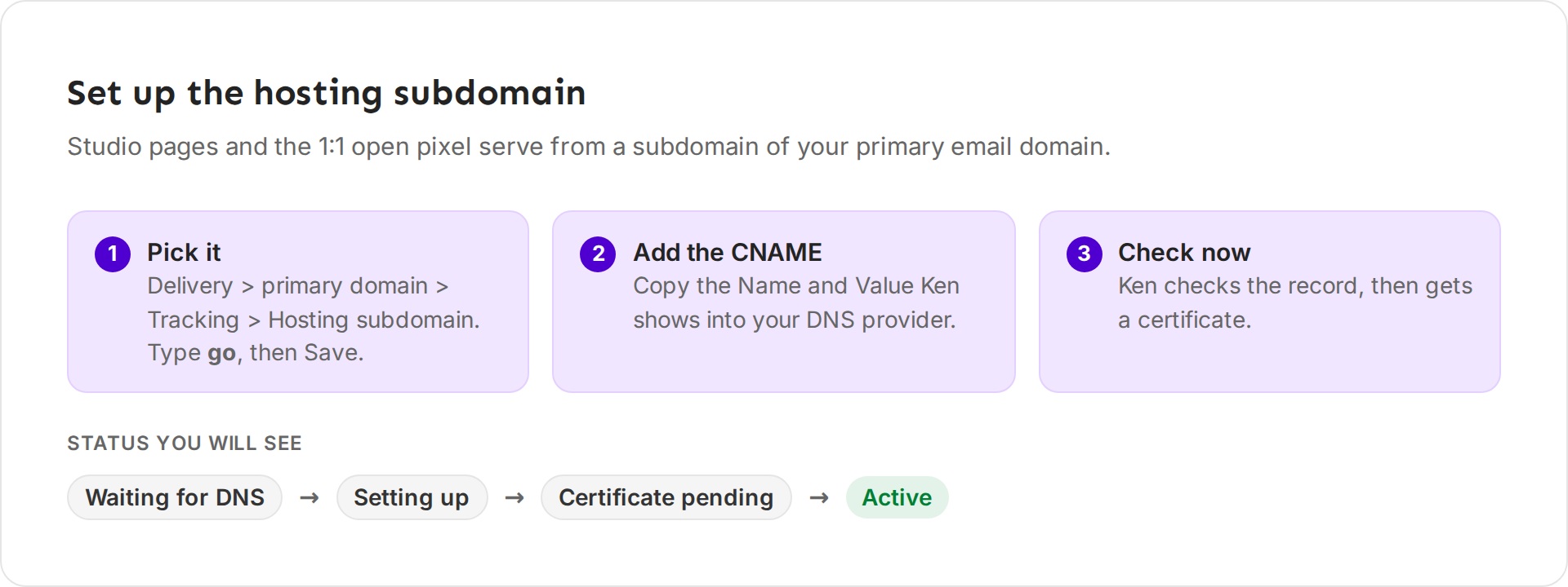 Diagram: pick the subdomain in Delivery, add the CNAME at your DNS provider, then Check now; the status moves from Waiting for DNS to Setting up, Certificate pending and Active